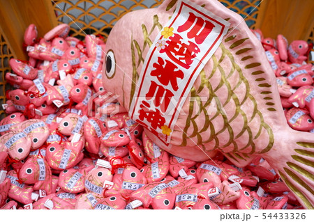 鯛みくじ　川越氷川神社 54433326