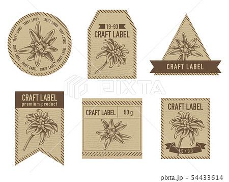 Craft labels with edelweiss stock illustration art Craft labels with edelweiss stock illustration art 54433614