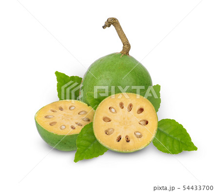 Medicinal Bael fruits on white background 54433700