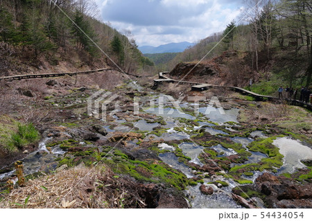 穴地獄 チャツボミゴケ公園　群馬県中之条町 54434054