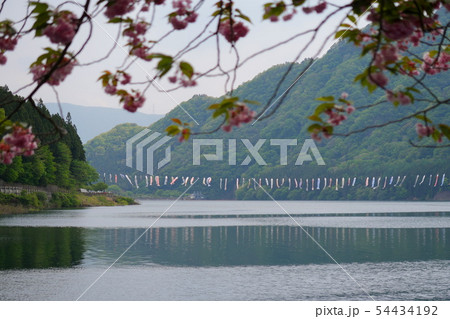 赤谷湖　群馬県みなかみ町 54434192