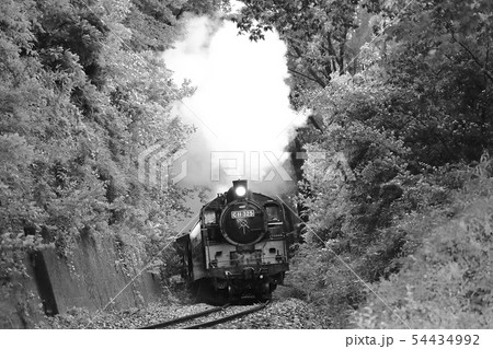 真岡鉄道SL 54434992