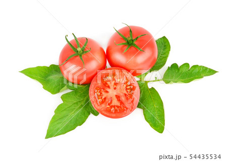 Appetizing tomatoes isolated on white background. 54435534