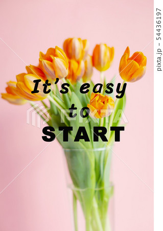 Spring tulips in a vase near on rose background Spring tulips in a vase near on rose background 54436197
