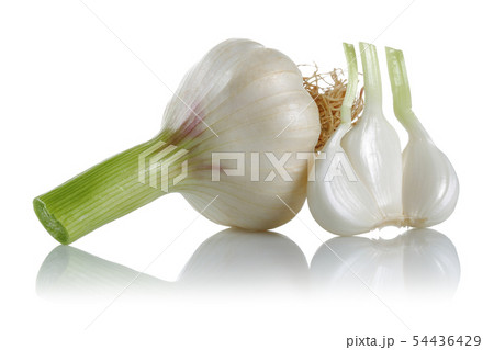 Fresh garlic bulb with garlic clove isolated Fresh garlic bulb with garlic clove isolated 54436429