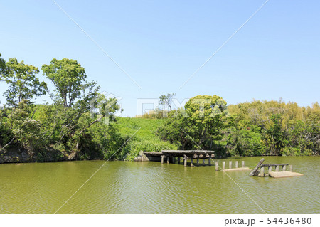 大阪・いたすけ古墳・世界遺産 54436480