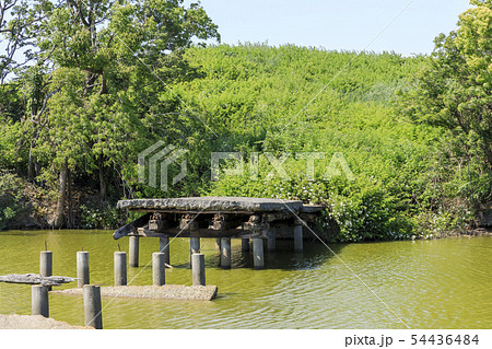 大阪・いたすけ古墳・世界遺産 54436484
