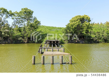 大阪・いたすけ古墳・世界遺産・（橋の上にタヌキ） 54436486