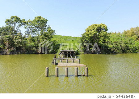 大阪・いたすけ古墳・世界遺産・（橋の上にタヌキ） 54436487