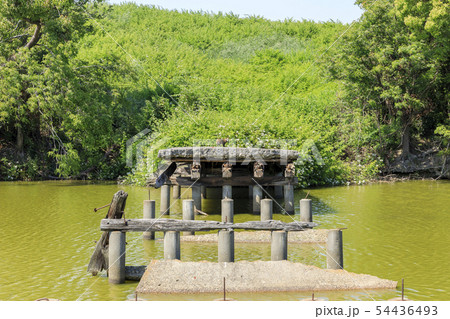 大阪・いたすけ古墳・世界遺産・（橋の上にタヌキ） 54436493