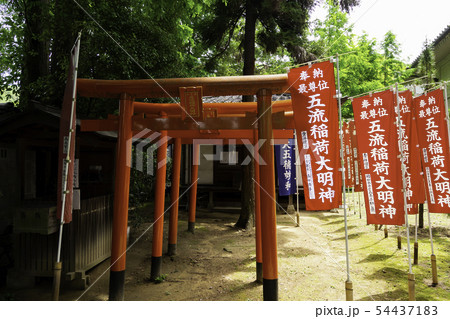 五流尊瀧院 五流稲荷大明神 新熊野三山 岡山県倉敷市郷内 五流尊瀧院 五流稲荷大明神 新熊野三山 岡山県倉敷市郷内 54437183