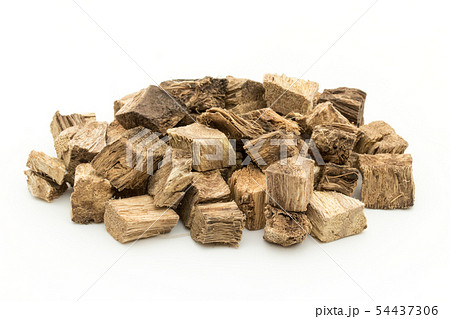 クズの根、葛根、かっこん、葛根湯: Kudzu root クズの根、葛根、かっこん、葛根湯: Kudzu root 54437306