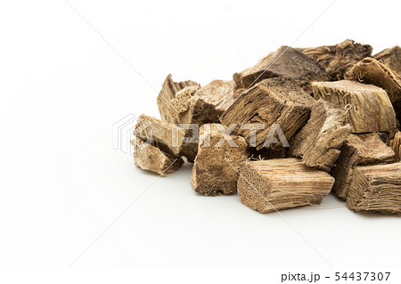 クズの根、葛根、かっこん、葛根湯: Kudzu root クズの根、葛根、かっこん、葛根湯: Kudzu root 54437307