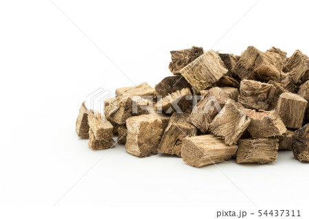 クズの根、葛根、かっこん、葛根湯:  Kudzu root 54437311