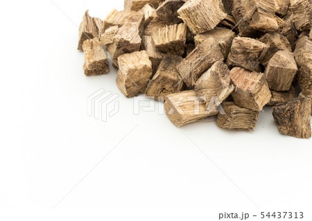 クズの根、葛根、かっこん、葛根湯: Kudzu root クズの根、葛根、かっこん、葛根湯: Kudzu root 54437313