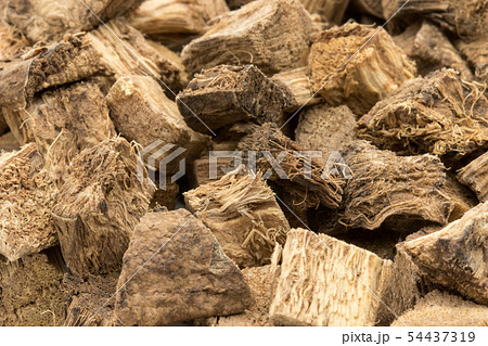 クズの根、葛根、かっこん、葛根湯:  Kudzu root 54437319