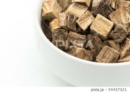 クズの根、葛根、かっこん、葛根湯:  Kudzu root 54437321