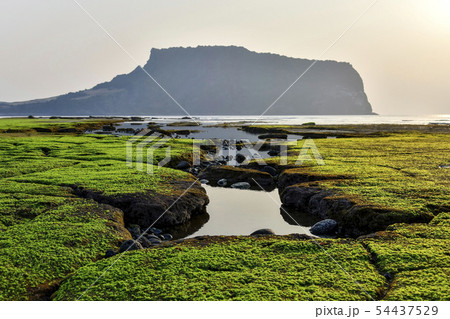 城山日出峰 光打撃海岸 西帰浦市 54437529