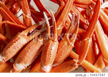 新鮮で美味しい茹でた蟹 新鮮で美味しい茹でた蟹 54437587