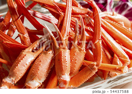 新鮮で美味しい茹でた蟹 新鮮で美味しい茹でた蟹 54437588
