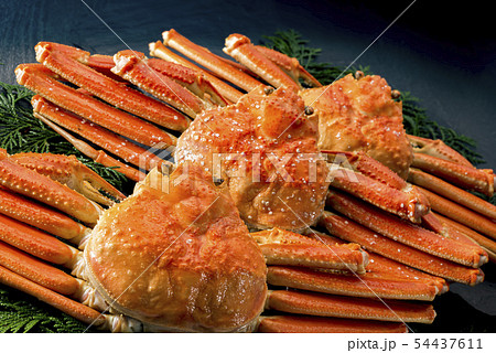 新鮮で美味しい茹でた蟹 新鮮で美味しい茹でた蟹 54437611