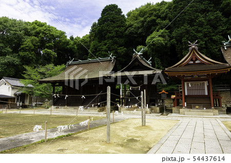 五流尊瀧院 日本第一熊野神社 左から第三、第一、第二殿 新熊野三山 岡山県倉敷市郷内 五流尊瀧院 日本第一熊野神社 左から第三、第一、第二殿 新熊野三山 岡山県倉敷市郷内 54437614