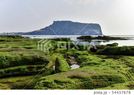 城山日出峰 光打撃海岸 西帰浦市 54437678