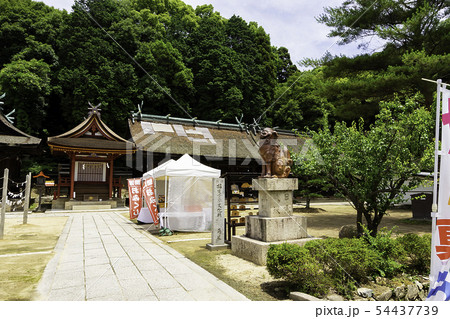 五流尊瀧院　日本第一熊野神社　境内　参道　新熊野三山　岡山県倉敷市郷内 54437739