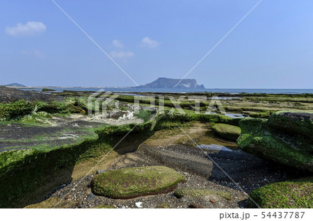 城山日出峰 風景 海 54437787