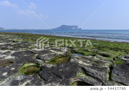 城山日出峰 風景 海 54437790