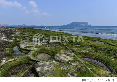 城山日出峰 風景 海 54437814