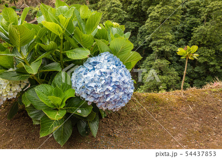 Park Natural dos Caldeiroes in the north of Sao 54437853