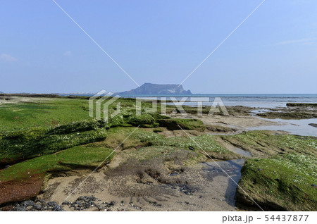 城山日出峰 風景 海 54437877