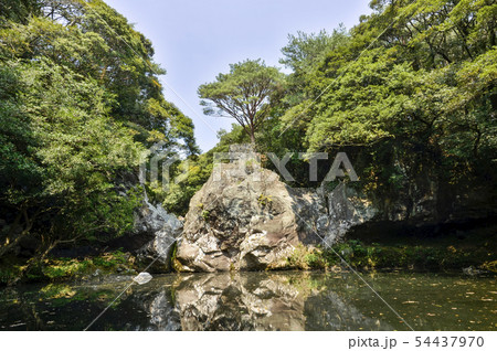 西帰浦市 済州島 韓国 54437970