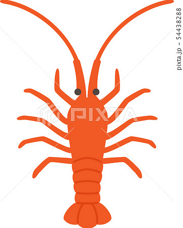 伊勢海老のイラスト素材 5443