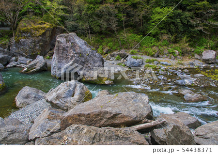 新緑の御岳渓谷 54438371