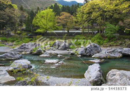 新緑の御岳渓谷　玉堂美術館付近 54438373