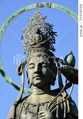 聖観音像 54438568