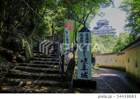 岐阜城の石段 54438663