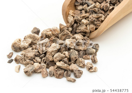 ライオンゴロシの根、デビルズクローの根: Devil's Claw Root ライオンゴロシの根、デビルズクローの根: Devil's Claw Root 54438775