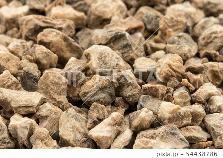 ライオンゴロシの根、デビルズクローの根: Devil's Claw Root ライオンゴロシの根、デビルズクローの根: Devil's Claw Root 54438786