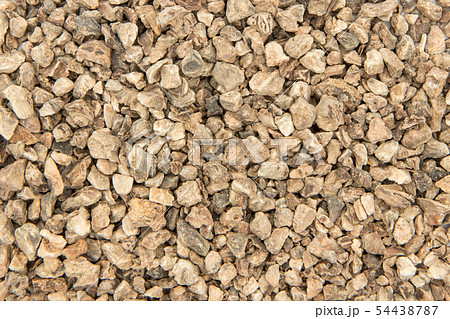 ライオンゴロシの根、デビルズクローの根: Devil's Claw Root ライオンゴロシの根、デビルズクローの根: Devil's Claw Root 54438787