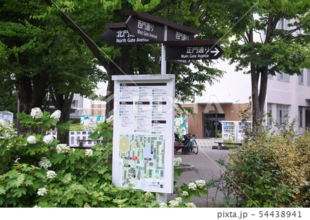 信州大学 54438941