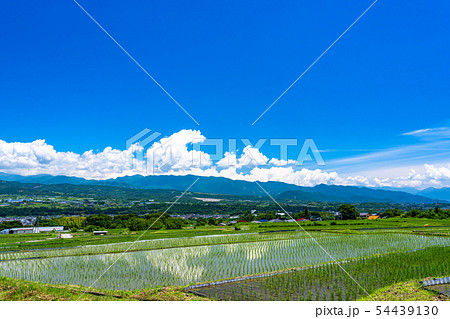 《山梨県》入道雲と田園風景 54439130