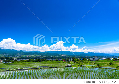《山梨県》入道雲と田園風景 《山梨県》入道雲と田園風景 54439142