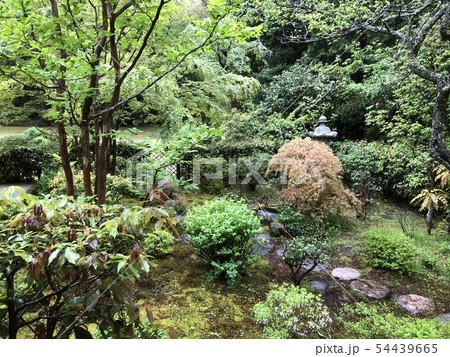 東山旧岸邸の裏庭 食堂からの風景 東山旧岸邸の裏庭 食堂からの風景 54439665