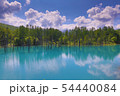 青の池 54440084