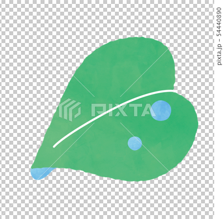 leaves and drops 54440890