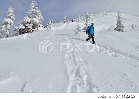 真冬の西穂高岳より下山する登山者 54442215