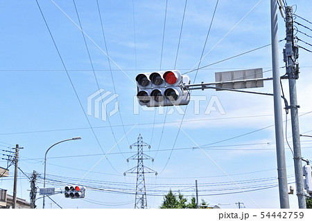 信号機 54442759